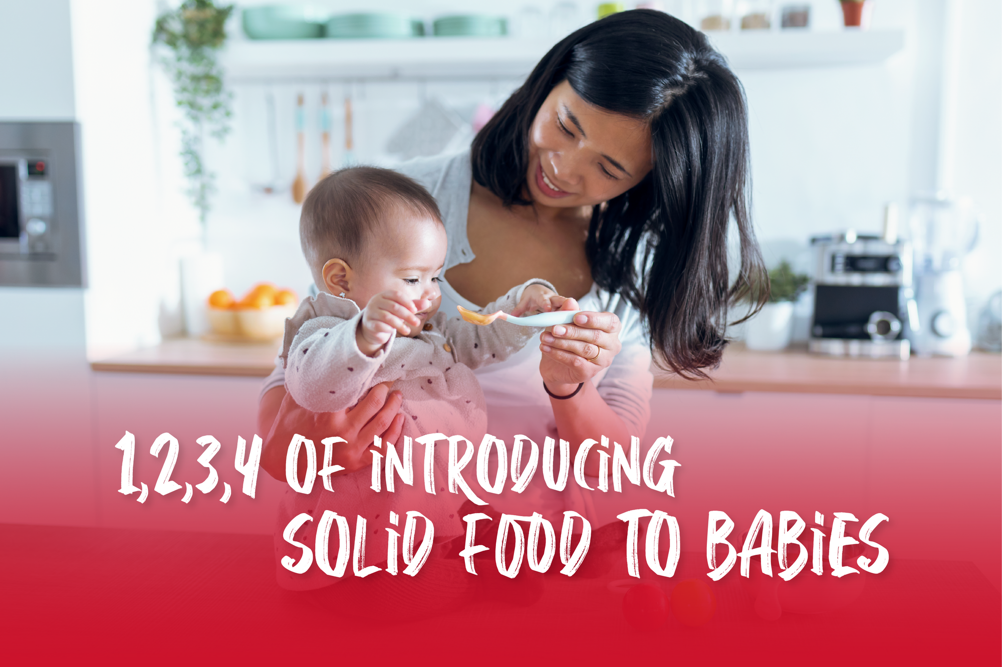 1,2,3,4 of introducing solid food to babies