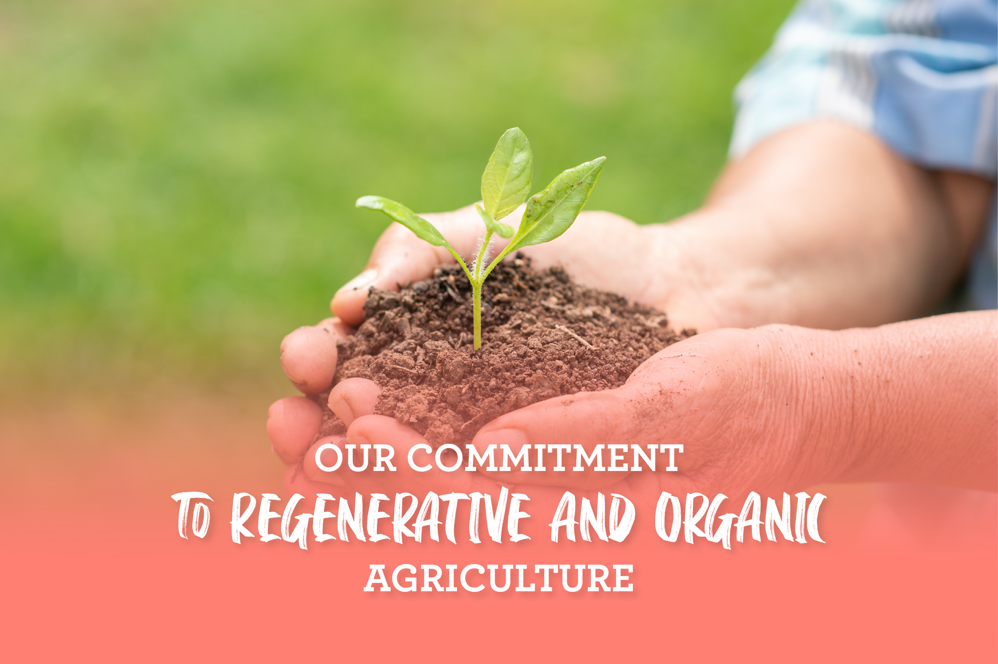 Our commitment to Regenerative and Organic Agriculture